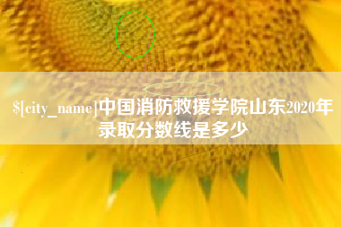博尔塔拉中国消防救援学院山东2020年录取分数线是多少