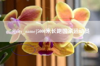 博尔塔拉5000米长跑国家运动员