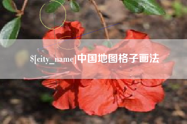 博尔塔拉中国地图格子画法