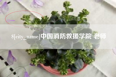 博尔塔拉中国消防救援学院 老师