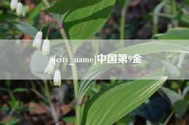 博尔塔拉中国第9金