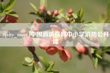 博尔塔拉中国消防官网中小学消防公开课