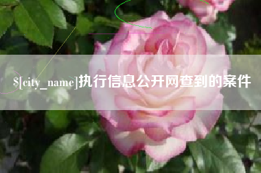 博尔塔拉执行信息公开网查到的案件