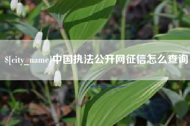 博尔塔拉中国执法公开网征信怎么查询