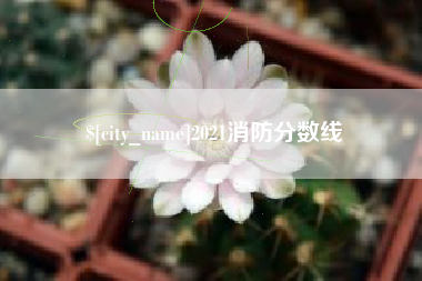 博尔塔拉2021消防分数线
