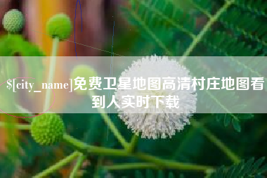 博尔塔拉免费卫星地图高清村庄地图看到人实时下载