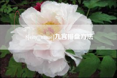 博尔塔拉九宫排盘方法