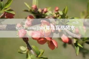 博尔塔拉2021年九宫格风水