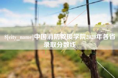 博尔塔拉中国消防救援学院2020年各省录取分数线