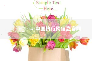 博尔塔拉中国执行网信息官网
