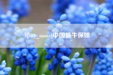 博尔塔拉中国最牛保镖