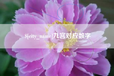 博尔塔拉九宫对应数字