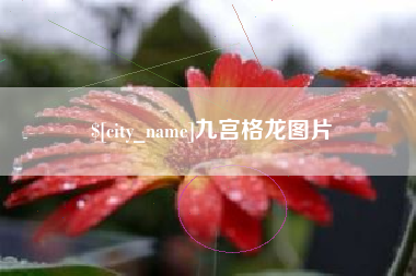 博尔塔拉九宫格龙图片