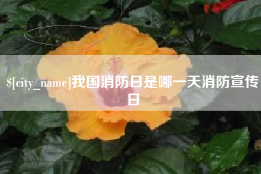 博尔塔拉我国消防日是哪一天消防宣传日