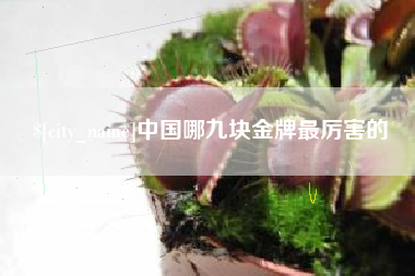 博尔塔拉中国哪九块金牌最厉害的