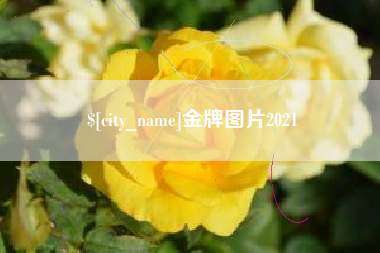 博尔塔拉金牌图片2021