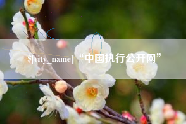 博尔塔拉“中国执行公开网”