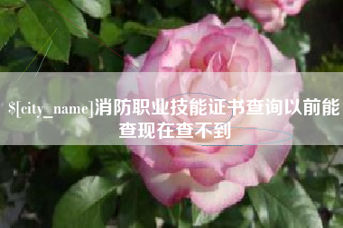 博尔塔拉消防职业技能证书查询以前能查现在查不到