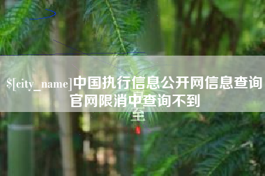 博尔塔拉中国执行信息公开网信息查询官网限消中查询不到