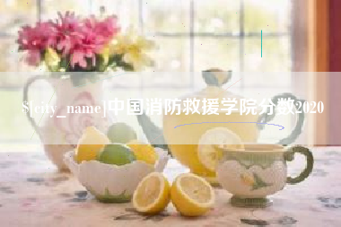 博尔塔拉中国消防救援学院分数2020