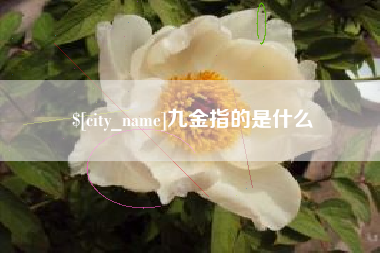 博尔塔拉九金指的是什么