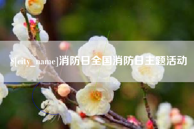 博尔塔拉消防日全国消防日主题活动