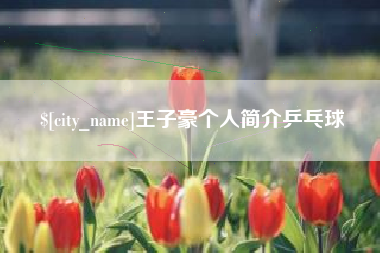 博尔塔拉王子豪个人简介乒乓球
