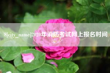博尔塔拉2020年消防考试网上报名时间