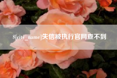 博尔塔拉失信被执行官网查不到