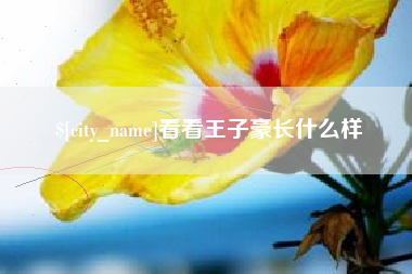 博尔塔拉看看王子豪长什么样