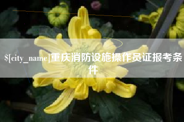 博尔塔拉重庆消防设施操作员证报考条件