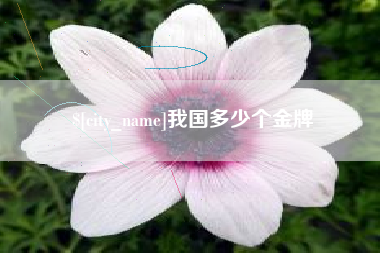 博尔塔拉我国多少个金牌