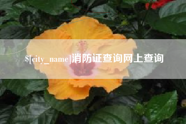 博尔塔拉消防证查询网上查询