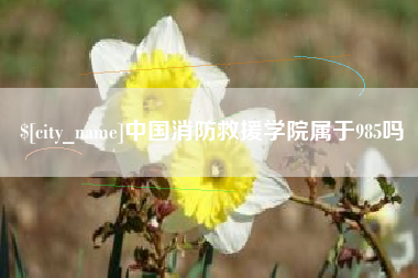 博尔塔拉中国消防救援学院属于985吗