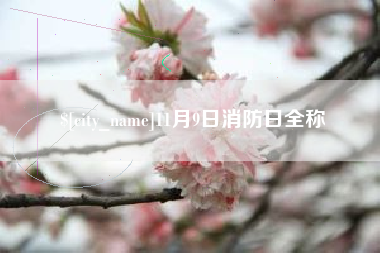 博尔塔拉11月9日消防日全称