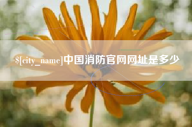 博尔塔拉中国消防官网网址是多少