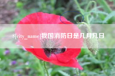 博尔塔拉我国消防日是几月几日