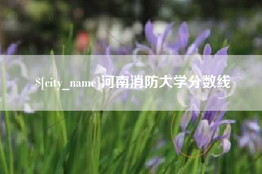 博尔塔拉河南消防大学分数线