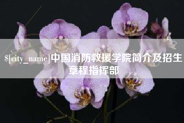 博尔塔拉中国消防救援学院简介及招生章程指挥部
