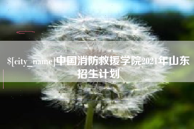 博尔塔拉中国消防救援学院2021年山东招生计划