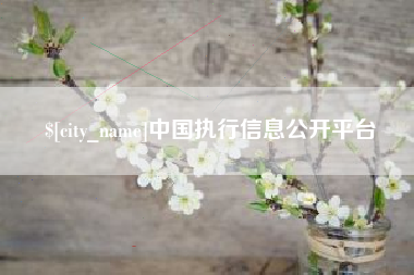 博尔塔拉中国执行信息公开平台