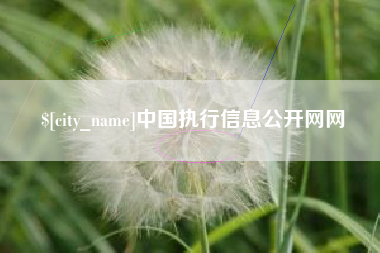 博尔塔拉中国执行信息公开网网