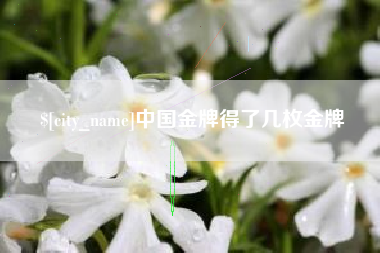博尔塔拉中国金牌得了几枚金牌