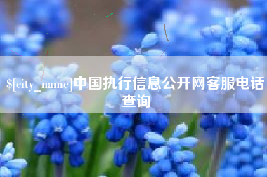 博尔塔拉中国执行信息公开网客服电话查询