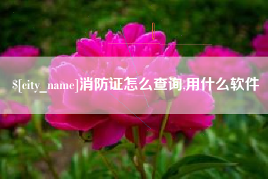 博尔塔拉消防证怎么查询,用什么软件
