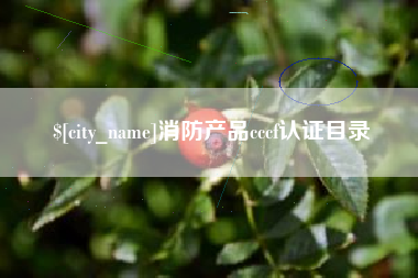 博尔塔拉消防产品cccf认证目录