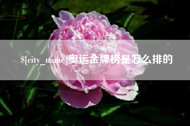 博尔塔拉奥运金牌榜是怎么排的