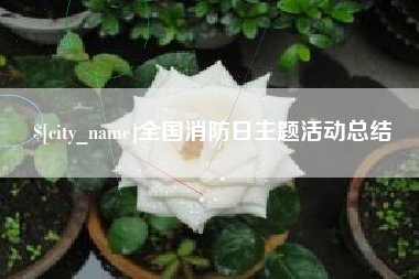 博尔塔拉全国消防日主题活动总结