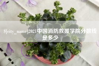 博尔塔拉2021中国消防救援学院分数线是多少