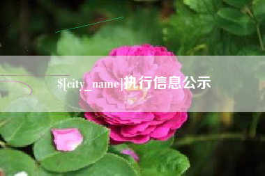 博尔塔拉执行信息公示
